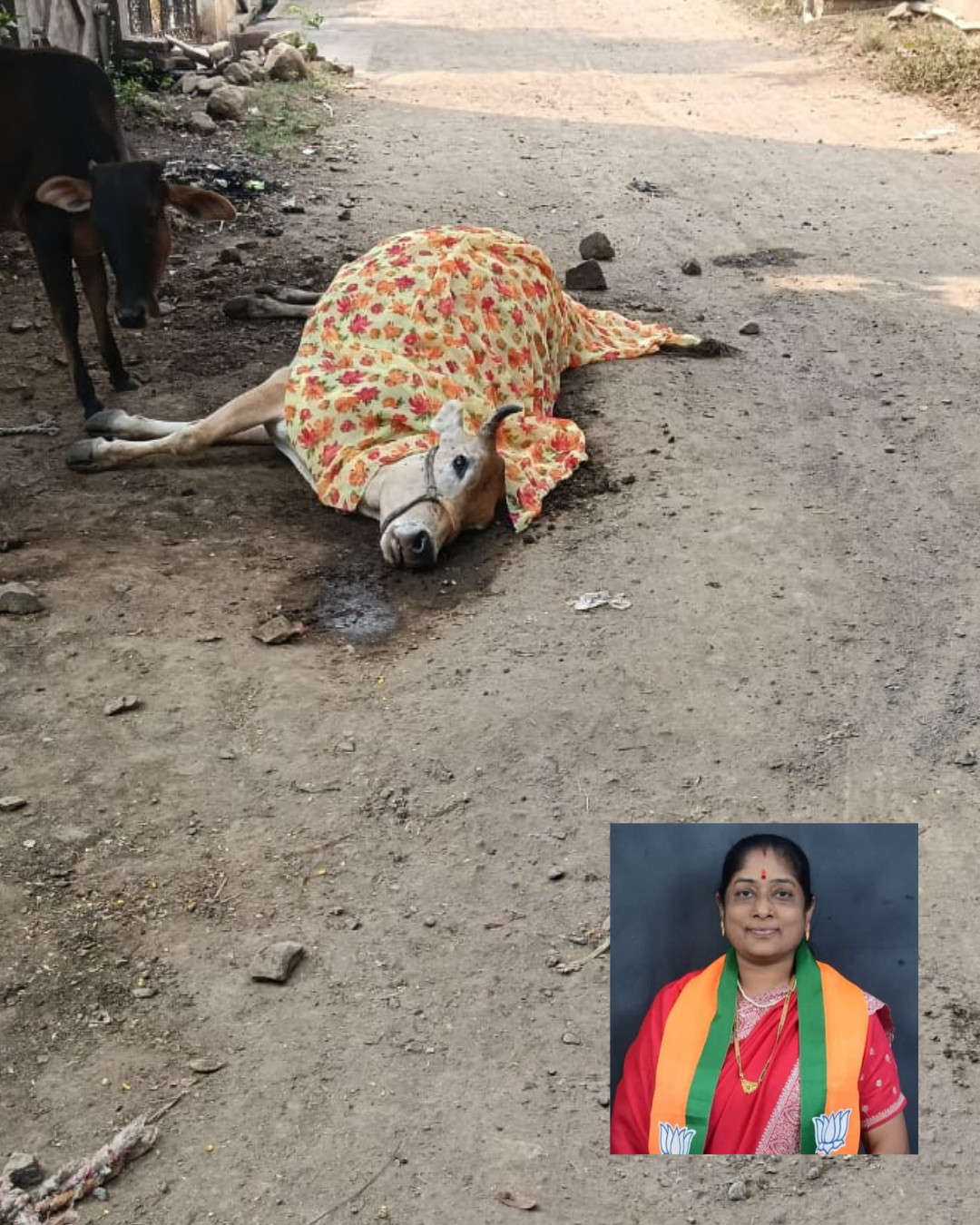 नगरसेविका सुषमा भिसे